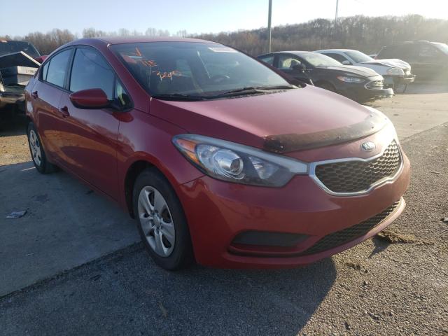 Photo 0 VIN: KNAFK4A68G5600869 - KIA FORTE LX 