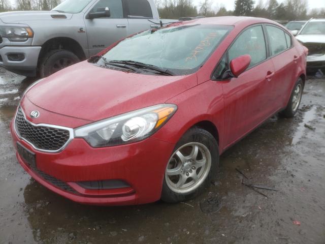 Photo 1 VIN: KNAFK4A68G5605375 - KIA FORTE LX 