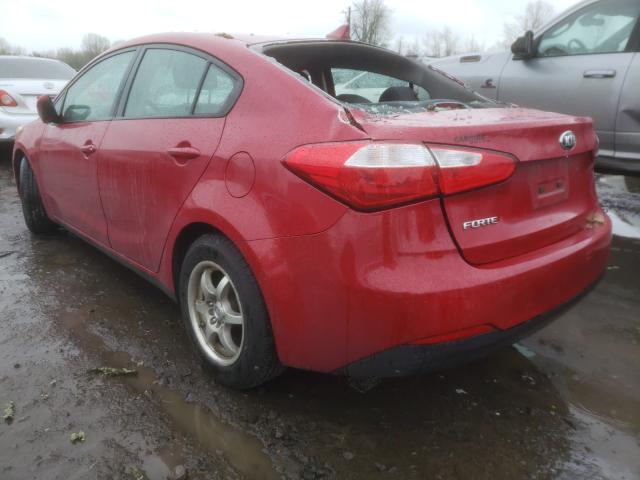 Photo 2 VIN: KNAFK4A68G5605375 - KIA FORTE LX 