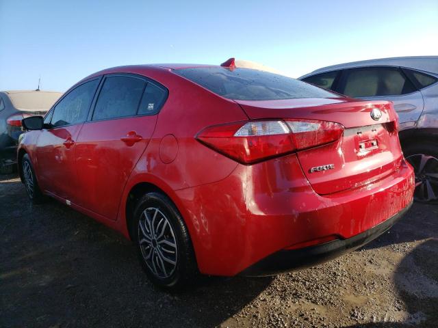 Photo 2 VIN: KNAFK4A68G5612438 - KIA FORTE LX 