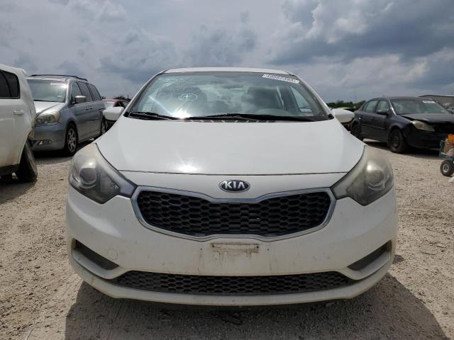 Photo 4 VIN: KNAFK4A68G5616764 - KIA FORTE LX 