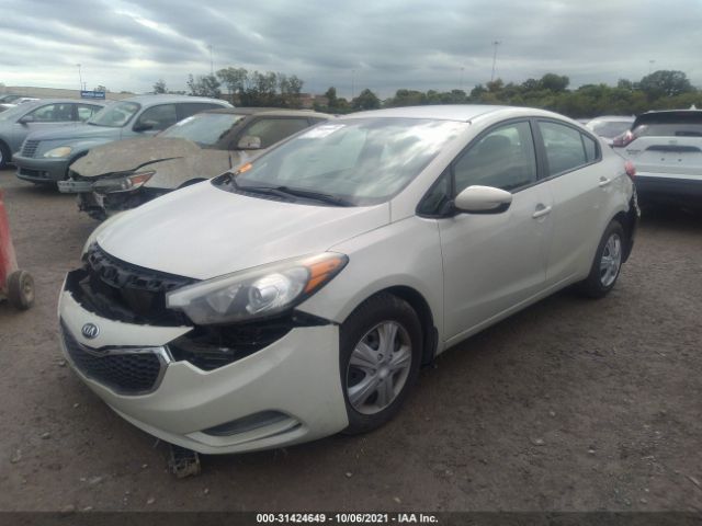 Photo 1 VIN: KNAFK4A69E5213986 - KIA FORTE 