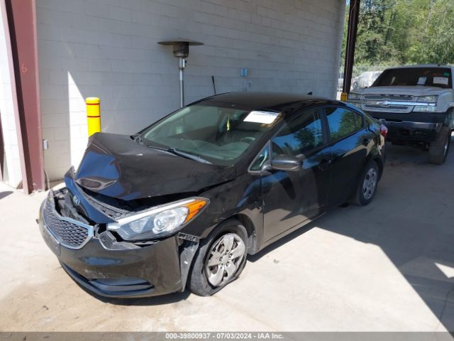 Photo 1 VIN: KNAFK4A69F5346538 - KIA FORTE 