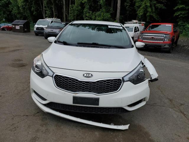 Photo 4 VIN: KNAFK4A69G5509951 - KIA FORTE LX 