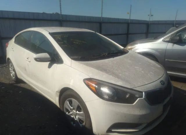 Photo 0 VIN: KNAFK4A69G5572192 - KIA FORTE 