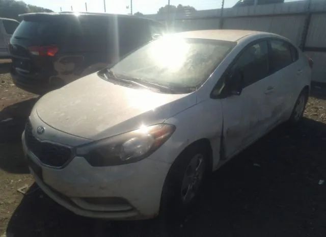 Photo 1 VIN: KNAFK4A69G5572192 - KIA FORTE 