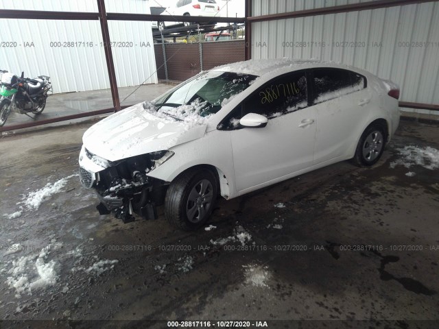 Photo 1 VIN: KNAFK4A69G5615719 - KIA FORTE 