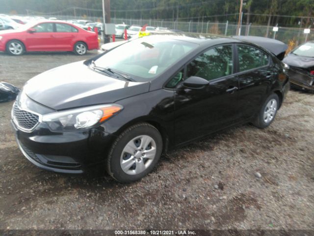 Photo 1 VIN: KNAFK4A6XF5395408 - KIA FORTE 