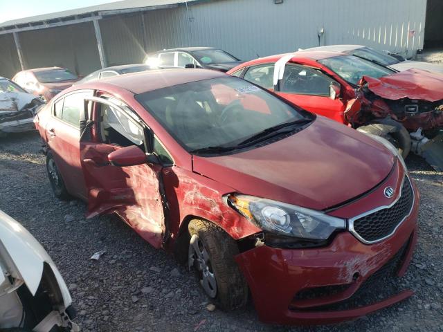 Photo 3 VIN: KNAFK4A6XG5561086 - KIA FORTE LX 