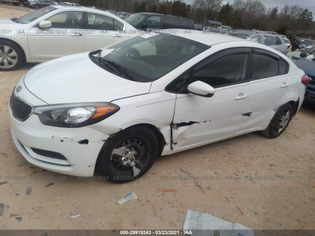 Photo 1 VIN: KNAFK4A6XG5604180 - KIA FORTE 