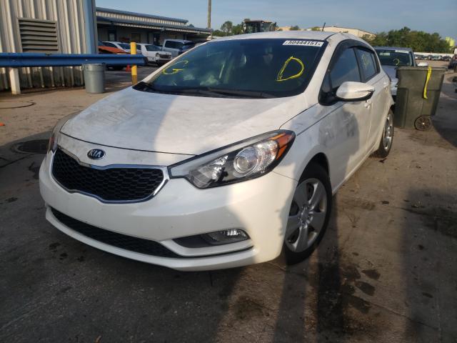 Photo 1 VIN: KNAFK5A80G5606382 - KIA FORTE LX 