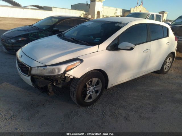 Photo 1 VIN: KNAFK5A80H5681956 - KIA FORTE5 