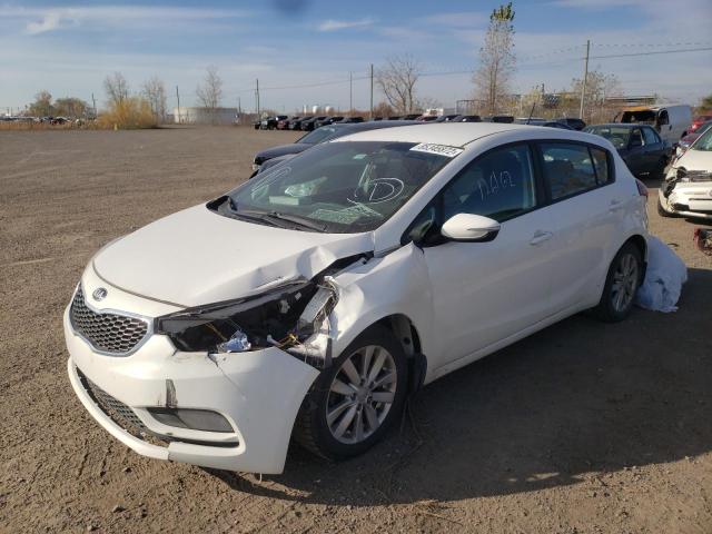 Photo 1 VIN: KNAFK5A85G5655965 - KIA FORTE LX 