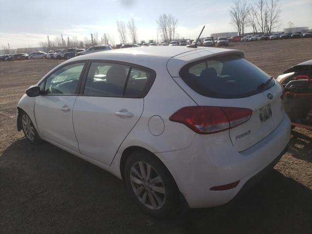 Photo 2 VIN: KNAFK5A85G5655965 - KIA FORTE LX 