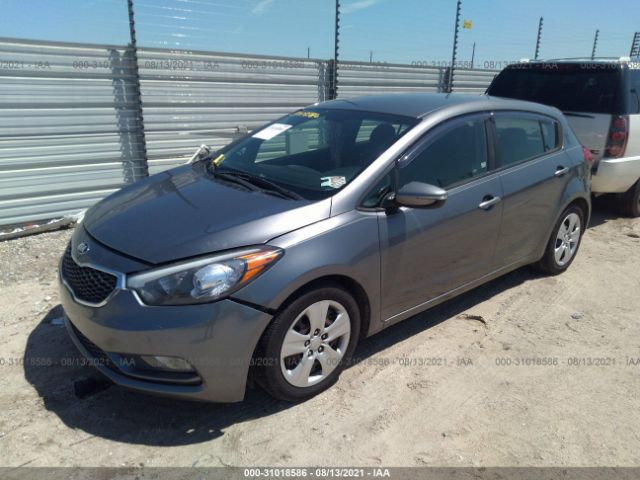 Photo 1 VIN: KNAFK5A86G5568818 - KIA FORTE 5-DOOR 