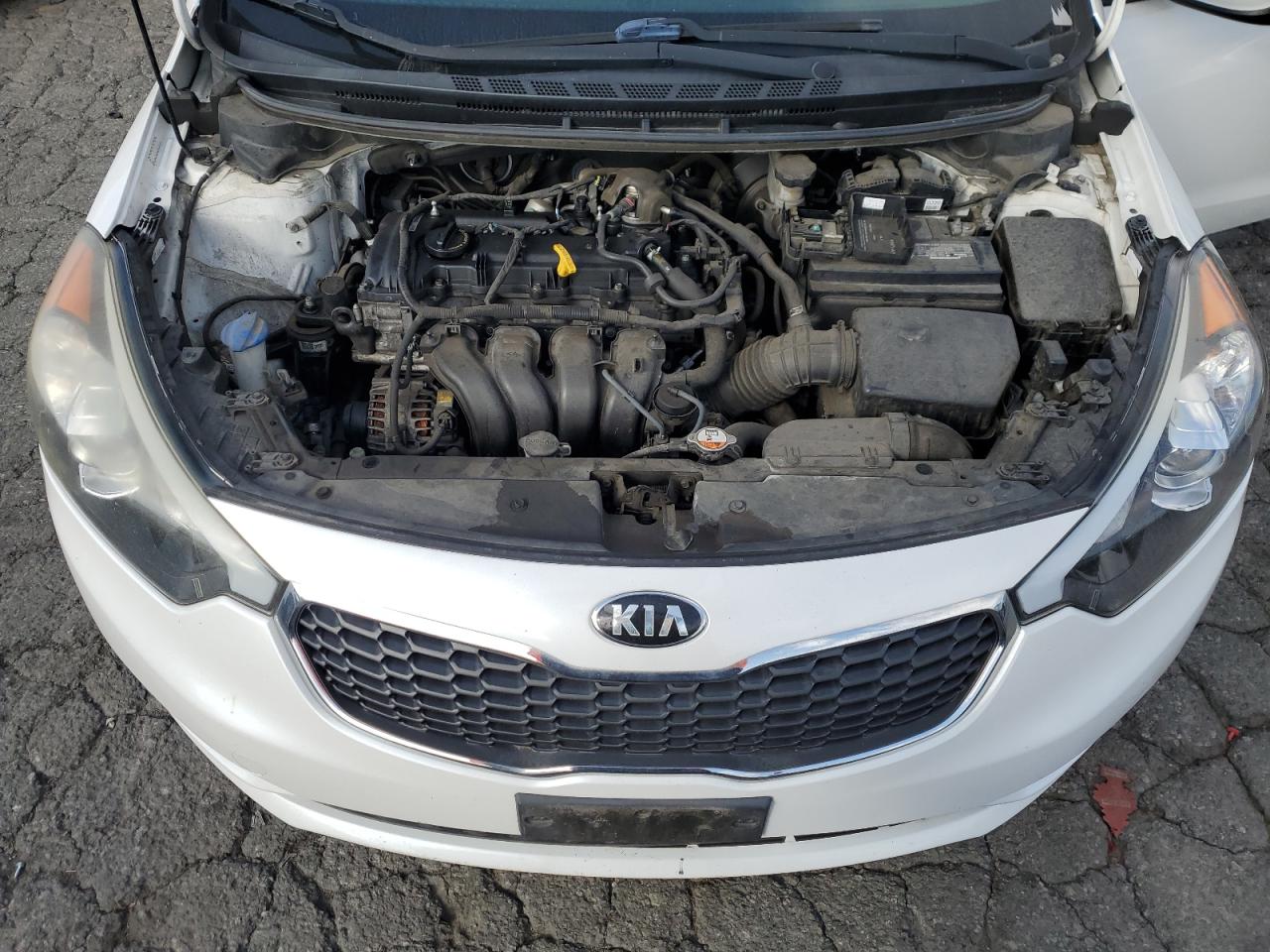 Photo 10 VIN: KNAFK5A86G5604703 - KIA FORTE 