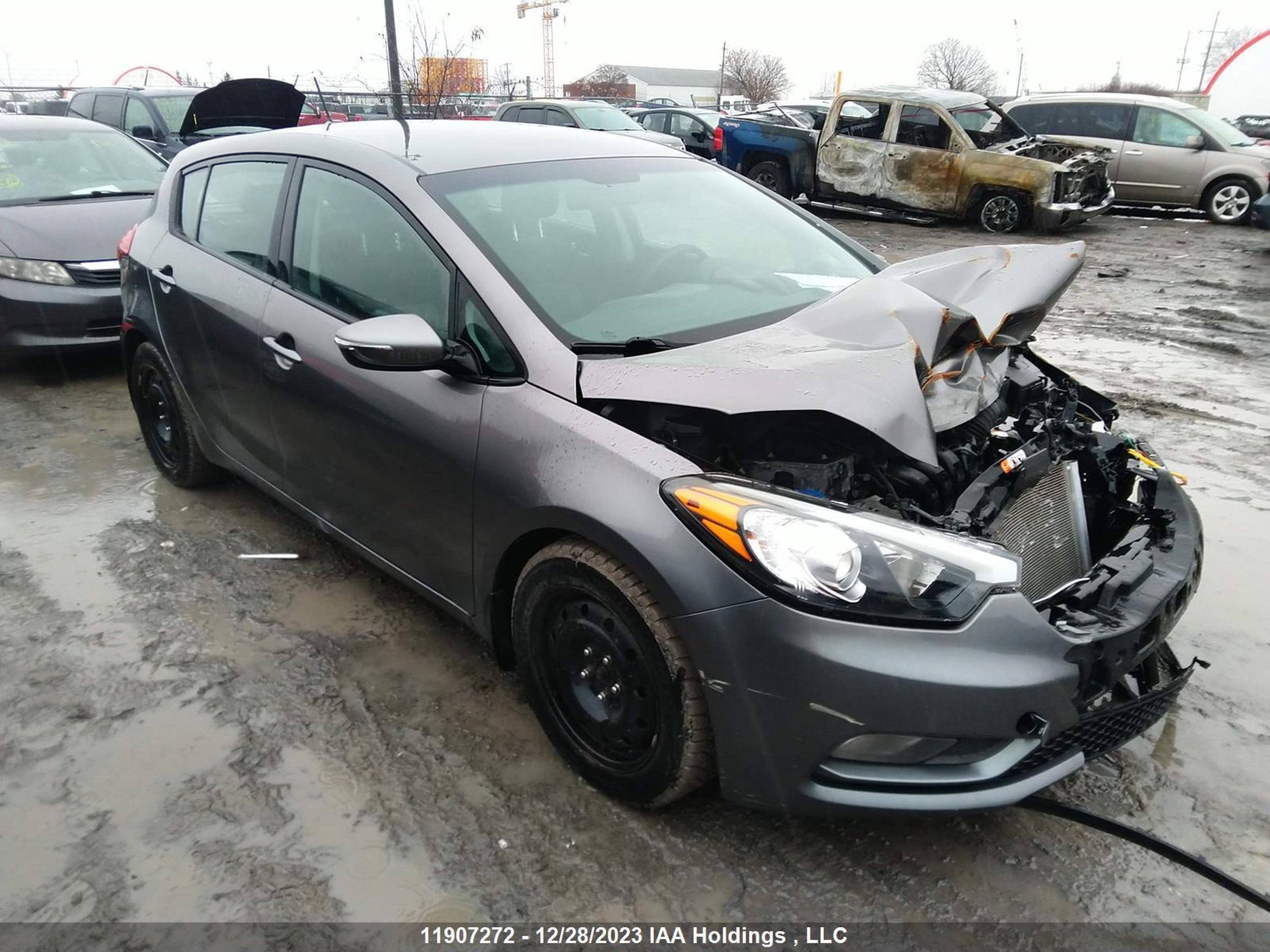 Photo 0 VIN: KNAFK5A87G5448686 - KIA FORTE 