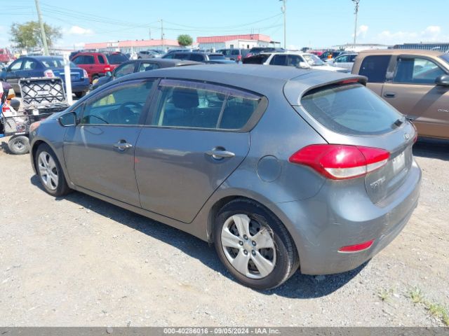 Photo 2 VIN: KNAFK5A87G5606203 - KIA FORTE 