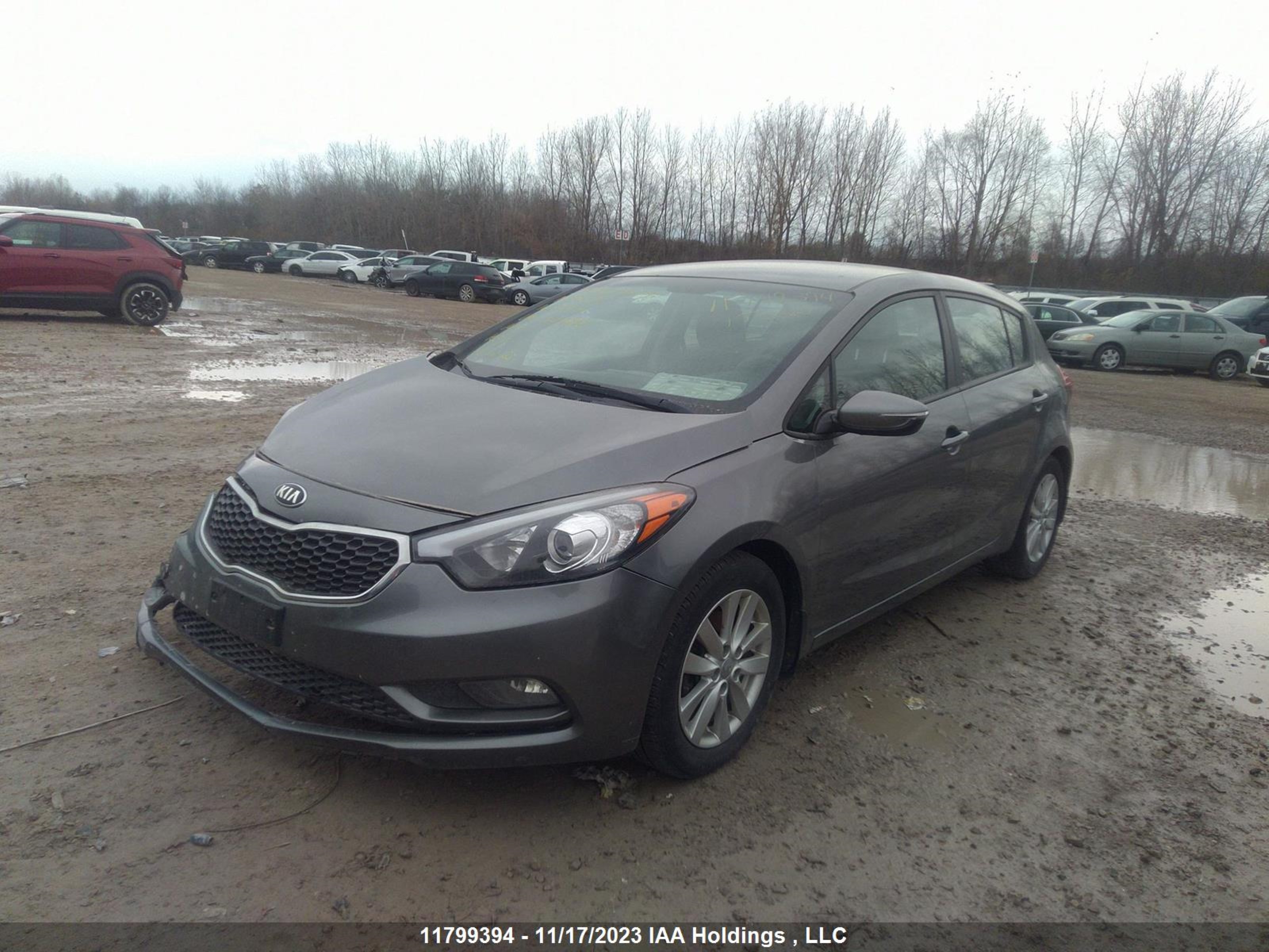 Photo 1 VIN: KNAFK5A87G5624698 - KIA FORTE 