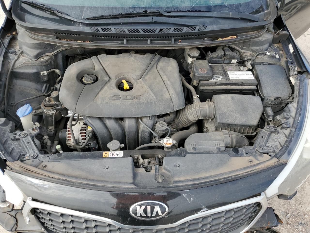 Photo 10 VIN: KNAFK5A89G5527986 - KIA FORTE 