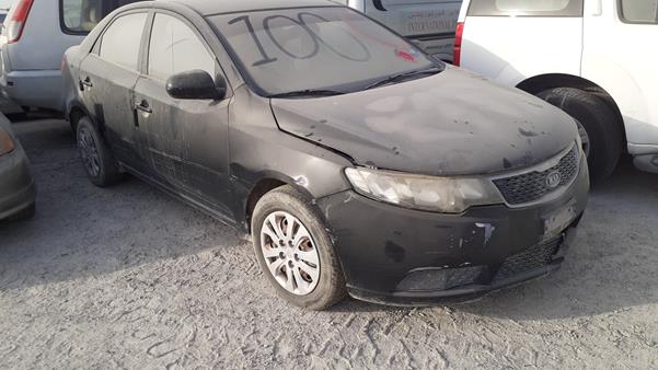 Photo 7 VIN: KNAFT4116D5973227 - KIA CERATO 