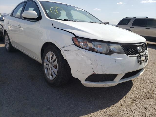 Photo 8 VIN: KNAFT4A20A5048981 - KIA FORTE LX 