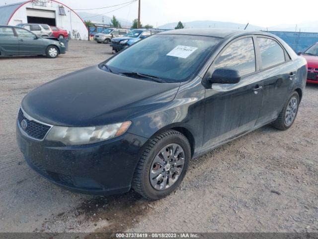 Photo 1 VIN: KNAFT4A23B5378115 - KIA FORTE 