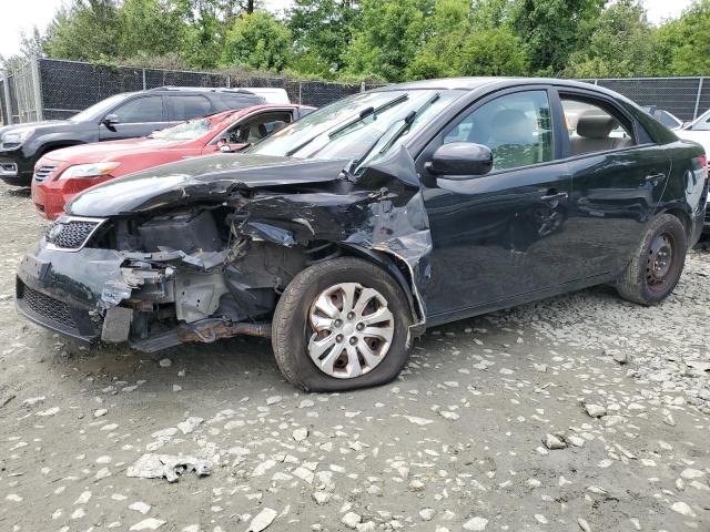 Photo 0 VIN: KNAFT4A23B5441598 - KIA FORTE 