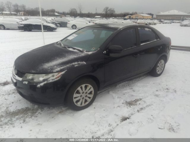 Photo 1 VIN: KNAFT4A24A5169335 - KIA FORTE 