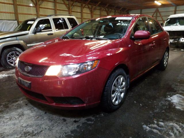 Photo 1 VIN: KNAFT4A25A5067882 - KIA FORTE LX 