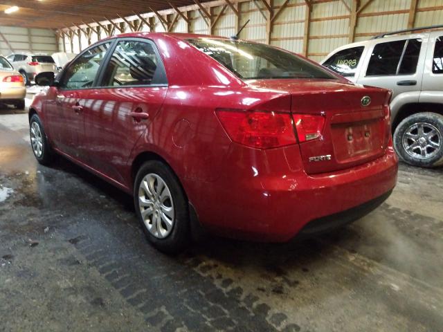 Photo 2 VIN: KNAFT4A25A5067882 - KIA FORTE LX 