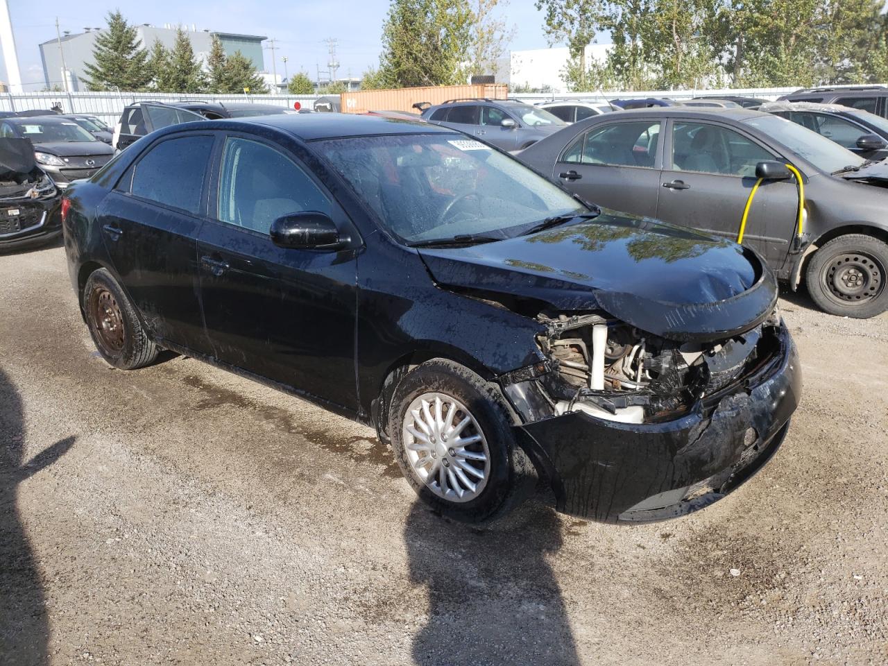 Photo 3 VIN: KNAFT4A25D5692268 - KIA FORTE 