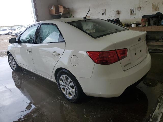 Photo 2 VIN: KNAFT4A26A5826510 - KIA FORTE LX 