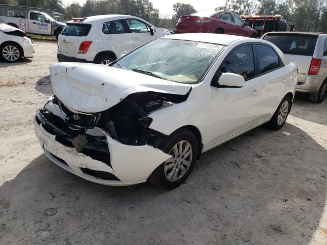 Photo 1 VIN: KNAFT4A26C5485211 - KIA FORTE LX 