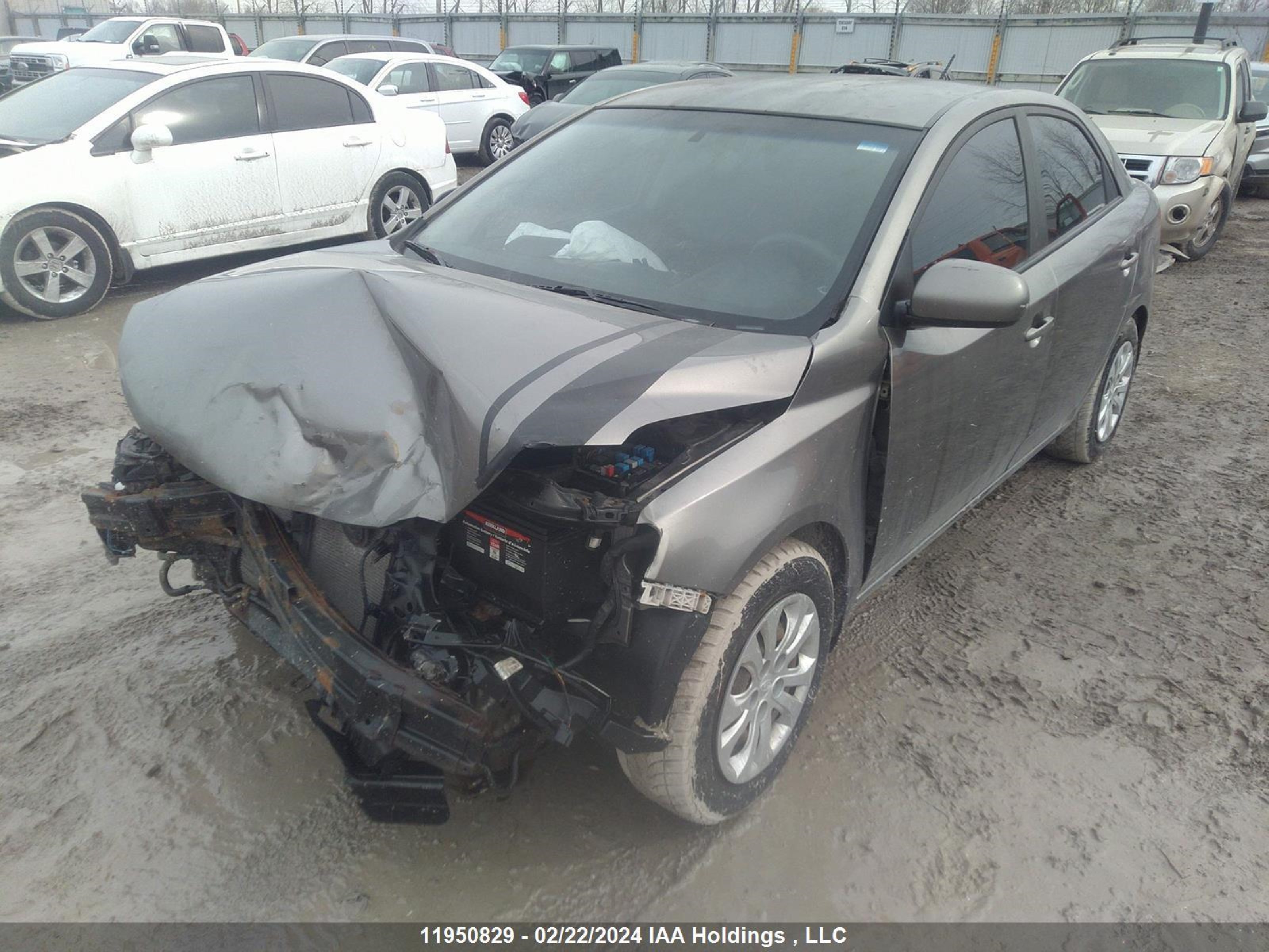 Photo 1 VIN: KNAFT4A27A5069651 - KIA FORTE 