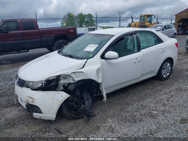 Photo 1 VIN: KNAFT4A27B5356392 - KIA FORTE 