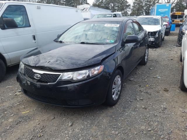 Photo 1 VIN: KNAFT4A27D5662818 - KIA FORTE LX 