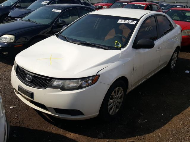 Photo 1 VIN: KNAFT4A28A5092016 - KIA FORTE LX 