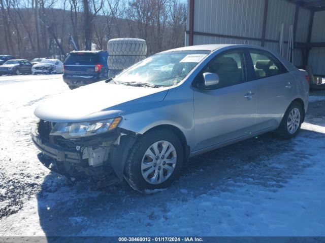 Photo 1 VIN: KNAFT4A28C5636534 - KIA FORTE 