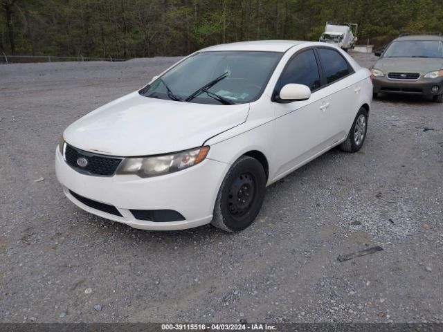 Photo 1 VIN: KNAFT4A28D5655571 - KIA FORTE 