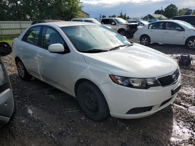 Photo 3 VIN: KNAFT4A28D5683287 - KIA FORTE LX 