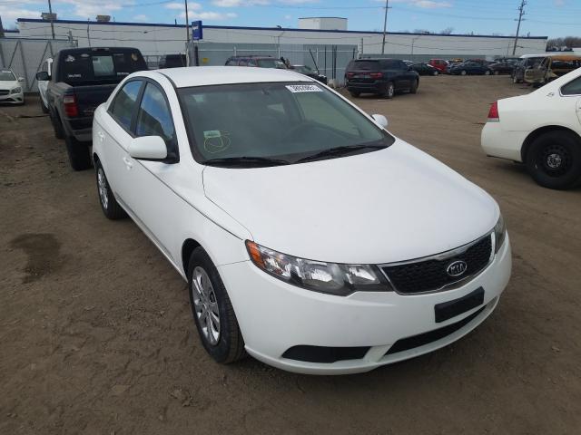 Photo 8 VIN: KNAFT4A29B5326925 - KIA FORTE LX 