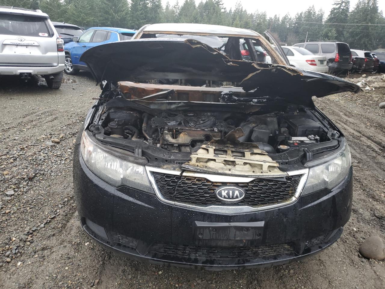 Photo 4 VIN: KNAFT4A29C5523563 - KIA FORTE 