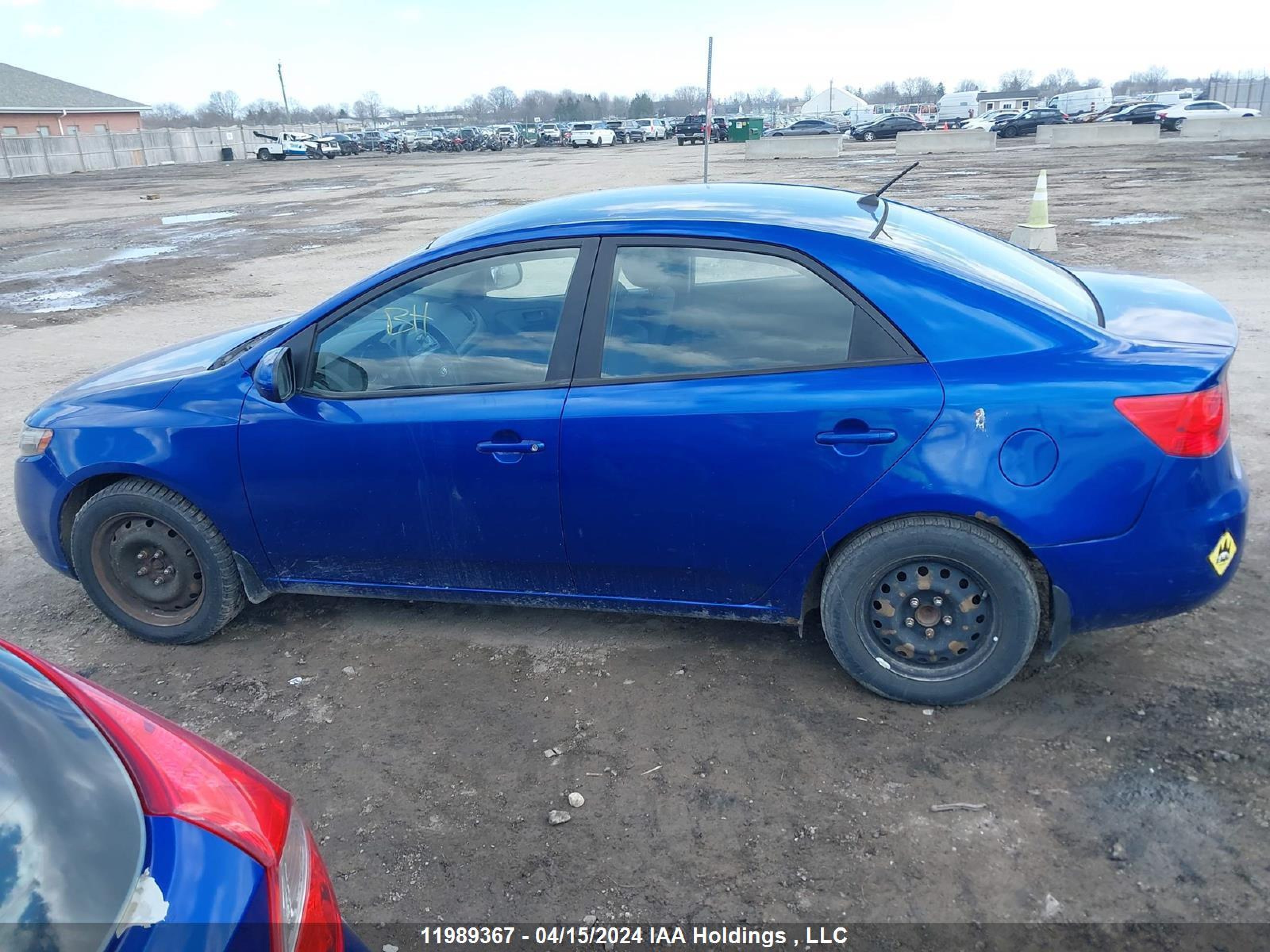 Photo 13 VIN: KNAFT4A2XD5660559 - KIA FORTE 