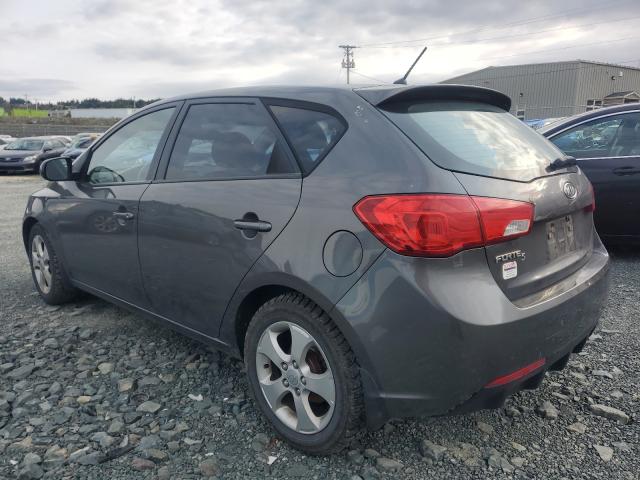 Photo 2 VIN: KNAFT5A27D5696666 - KIA FORTE LX 