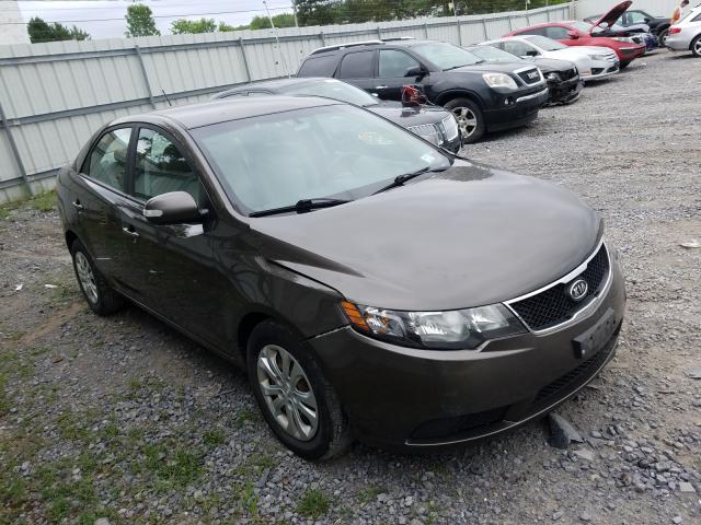 Photo 0 VIN: KNAFU4A20A5223355 - KIA FORTE EX 