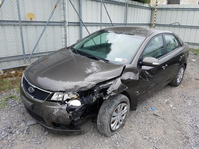 Photo 1 VIN: KNAFU4A20A5223355 - KIA FORTE EX 