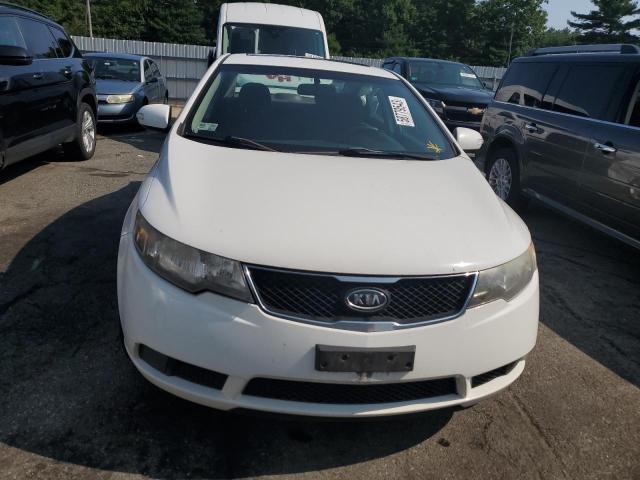 Photo 4 VIN: KNAFU4A20A5280252 - KIA FORTE EX 