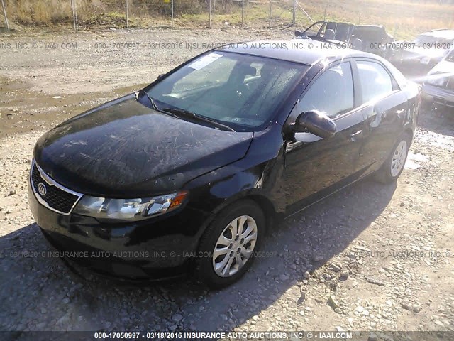 Photo 1 VIN: KNAFU4A20B5374617 - KIA FORTE 