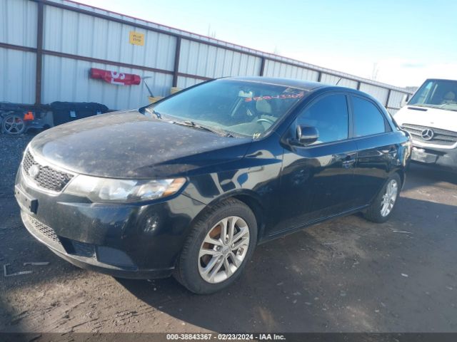 Photo 1 VIN: KNAFU4A20B5381308 - KIA FORTE 